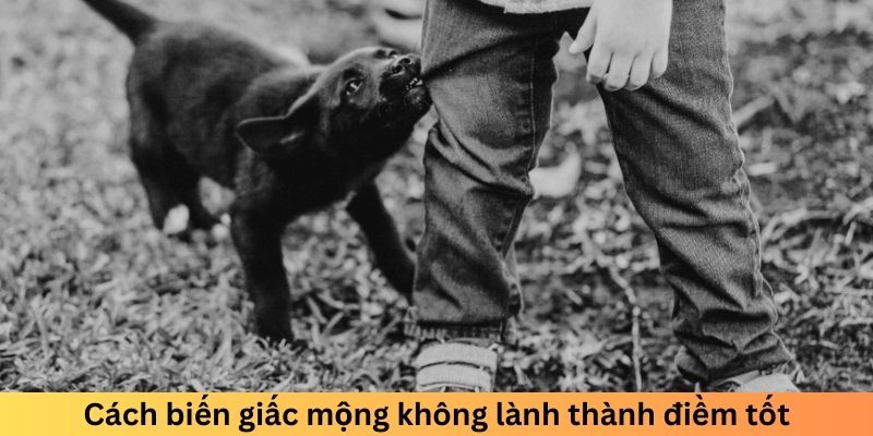 Cách biến giấc mộng không lành thành điềm tốt