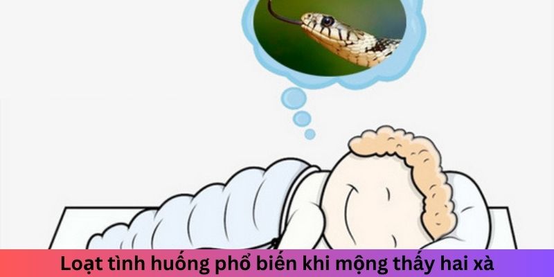 Loạt tình huống phổ biến khi mộng thấy hai xà