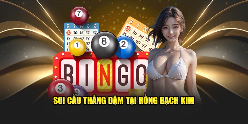 Soi cầu thắng đậm tại Rồng Bạch Kim