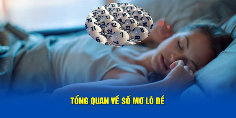 Tổng quan về sổ mơ lô đề