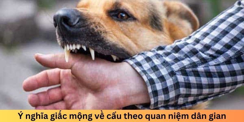 Ý nghĩa giấc mộng về cẩu theo quan niệm dân gian